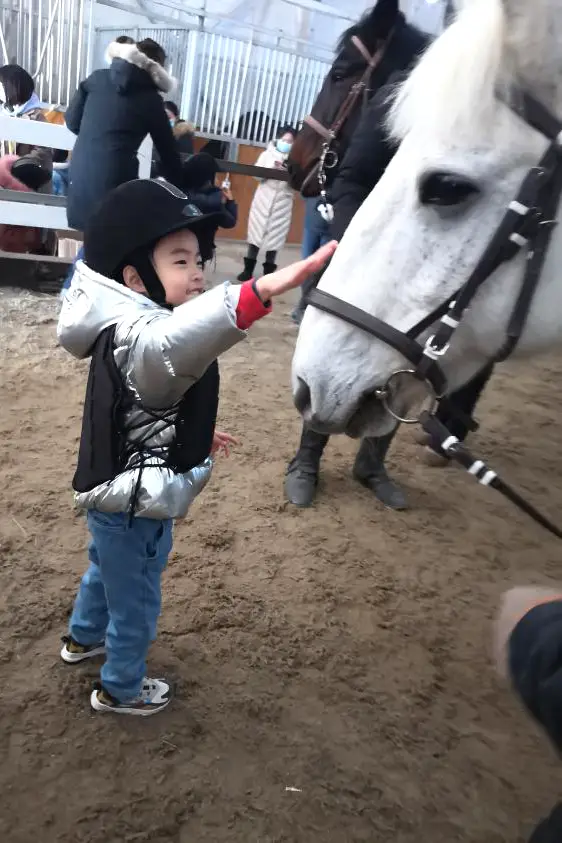 运动体操_幼儿体育项目_儿童技巧性体育项目