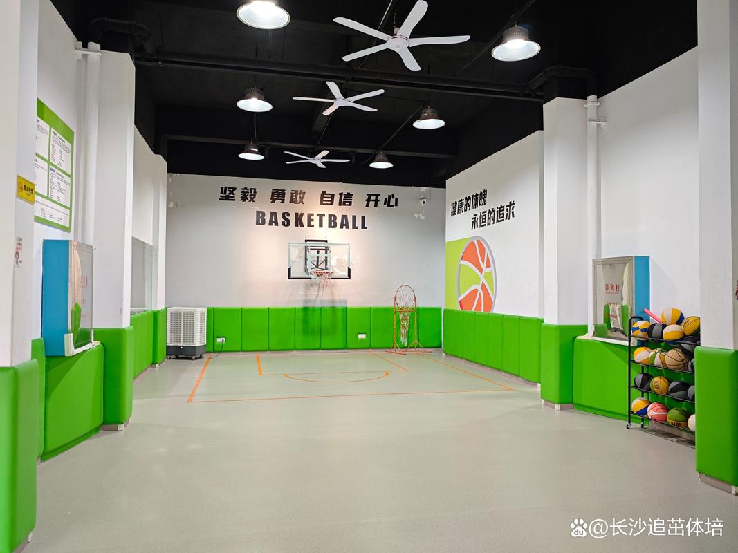合规资质核验_青少年体能训练学校选择标准_儿童技巧性体育项目