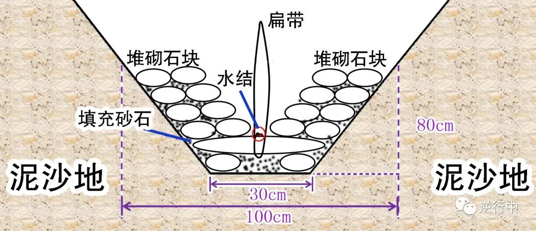 岸上救援训练_体育项目的扑救技巧有_水域救援常用方法