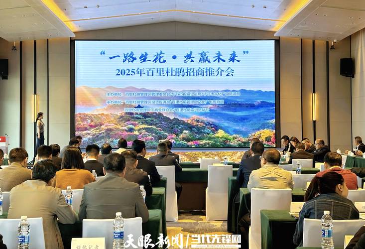 体育项目招商策略_湖北体育招商引资 大理 推广会